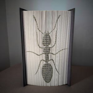 ant book folding pattern preview - Cut & Fold