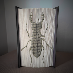 beetle book folding pattern preview - Cut & Fold