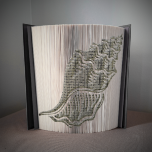 clam v3 book folding pattern preview - Cut & Fold