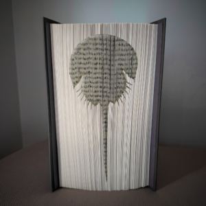horseshoe crab book folding pattern preview - Cut & Fold