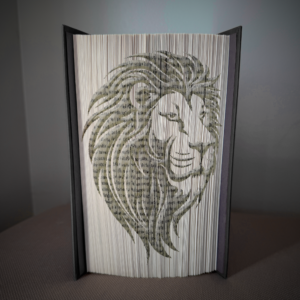 Safari